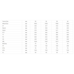 Гравийный велосипед Stalker Freedom 700.2 D, темно-серый