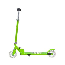 Самокат-снегокат PLAYSHION BLUESKY-SNW RACCOON (зеленый)	