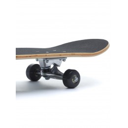 Скейтборд ATEMI 31*8, ASB31D02