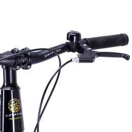 Велосипед 20" Krypton Hyperion ригид KH10GB20HF, чёрное золото
