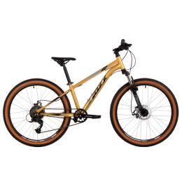 Велосипед 24" FOXX CAIMAN JR (2025), золотой