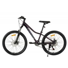 Велосипед 24" Haevner Infinity 2024, фиолетовый перламутр