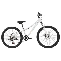 Велосипед 26" TechTeam SPECTRA, белый