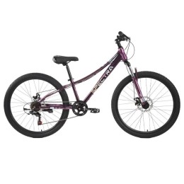 Велосипед 26" TechTeam SPECTRA, фиолетовый