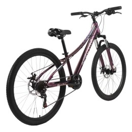Велосипед 26" TechTeam SPECTRA, фиолетовый