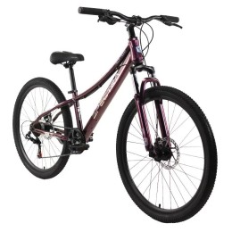 Велосипед 26" TechTeam SPECTRA, фиолетовый