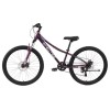 Велосипед 26" TechTeam SPECTRA, фиолетовый