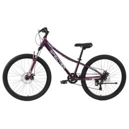 Велосипед 26" TechTeam SPECTRA, фиолетовый
