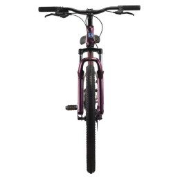 Велосипед 26" TechTeam SPECTRA, фиолетовый