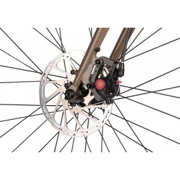 Велосипед 28" SHULZ Boys don't cry (2021) grizzly/бурый