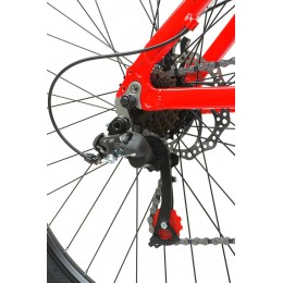 Велосипед 29" ALTAIR 29 D (2021) красный