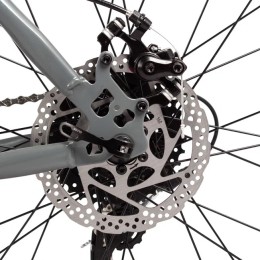 Велосипед 29" FOXX ARAGON (2025), серый