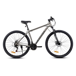 Велосипед 29" KRYPTON EAGLE III, серый