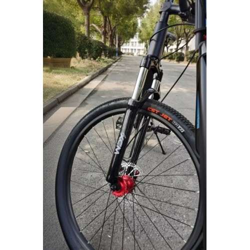 Вилка 26" Sr Suntour XCM SF13-XCM-DS-MLO-26-100, 100mm, прямой шток 22 см, безрезьб/аморт/D-brake, черная